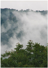 nach einem Gewitterregen