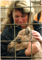 Susanne Rapp mit Babykamel